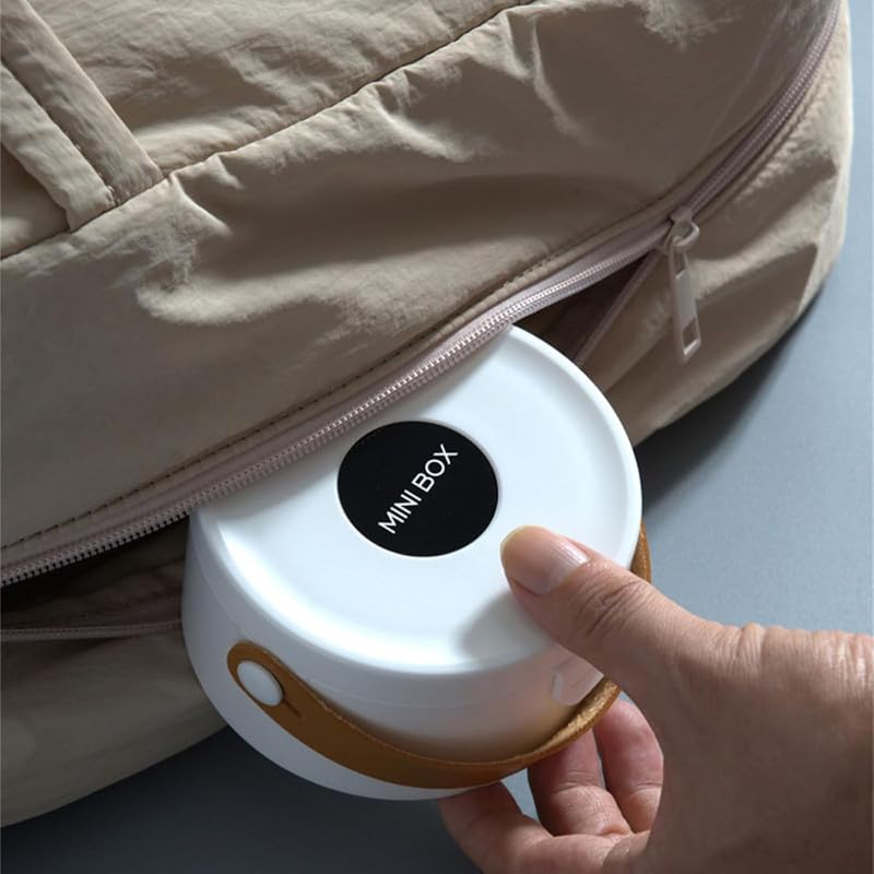 Mini Portable Jewelry Organizer