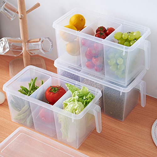 3 Section Food Storage Organizer Box