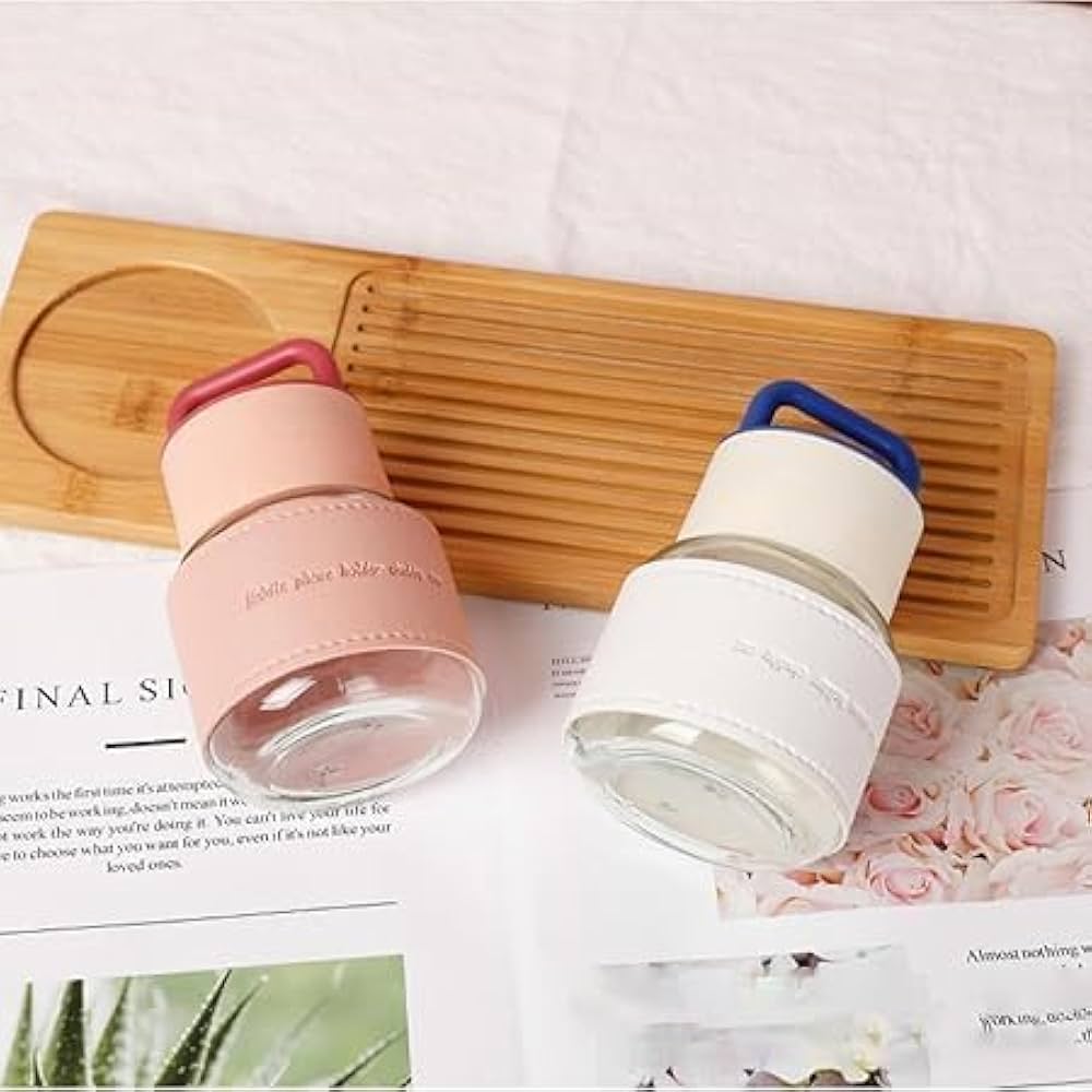 Borosilicate Water Bottle With Grip Sleeve & Handle Lid (320ml)