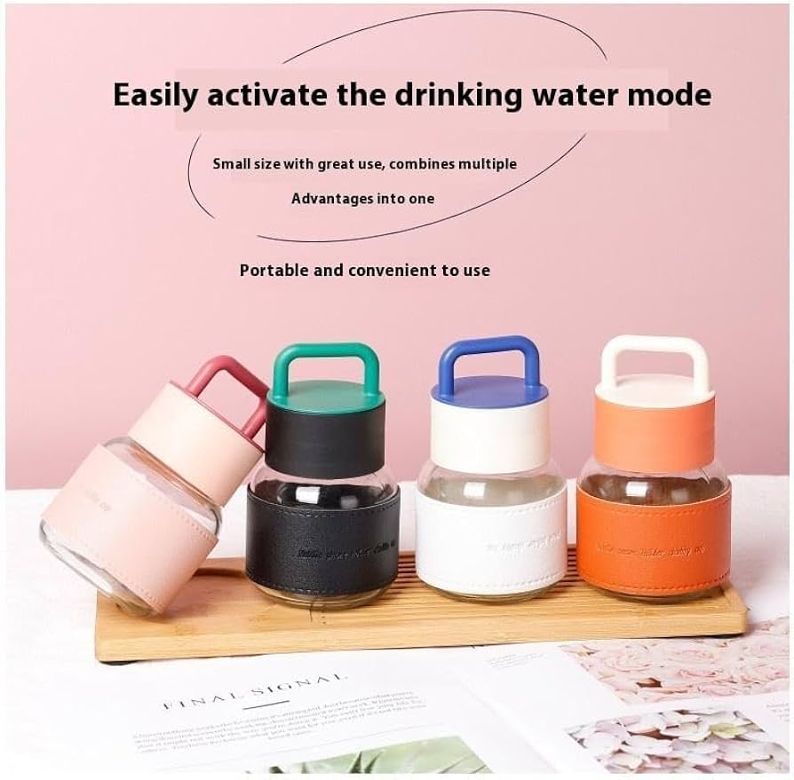 Borosilicate Water Bottle With Grip Sleeve & Handle Lid (320ml)
