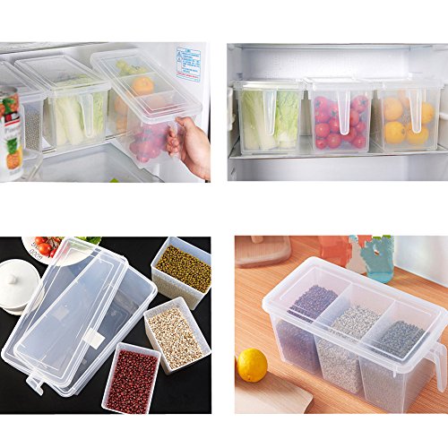 3 Section Food Storage Organizer Box